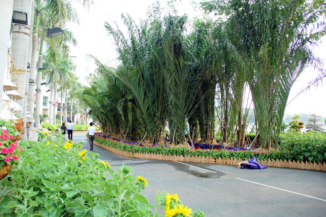 Hồn quê xuất hiện tại khu nhà giàu ở Sài Gòn ngày giáp Tết